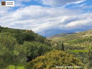 Pitsidia Süd Kreta, Pitsida Baugrundstück mit Meerblick ca.5500m² Grundstück kaufen